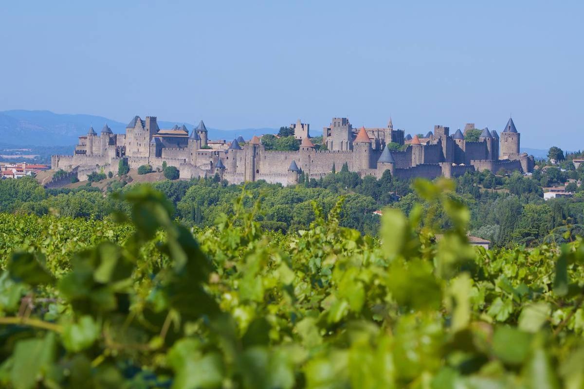 Tout Confort ! Climatisation, Centre-Ville, Parking, Terrasse, Wifi, Netflix Carcassonne Exteriör bild