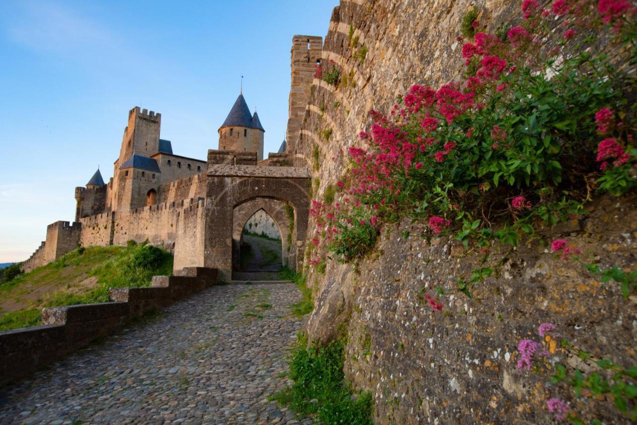 Tout Confort ! Climatisation, Centre-Ville, Parking, Terrasse, Wifi, Netflix Carcassonne Exteriör bild