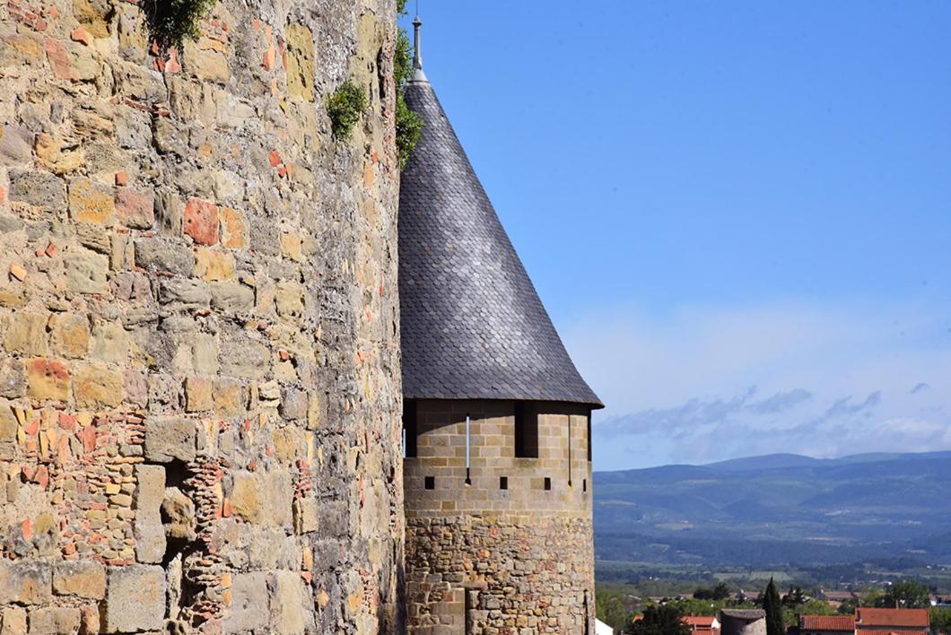 Tout Confort ! Climatisation, Centre-Ville, Parking, Terrasse, Wifi, Netflix Carcassonne Exteriör bild