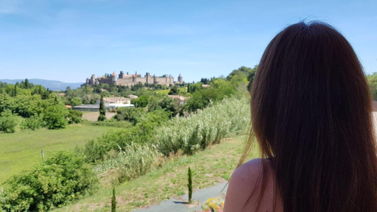 Tout Confort ! Climatisation, Centre-Ville, Parking, Terrasse, Wifi, Netflix Carcassonne Exteriör bild