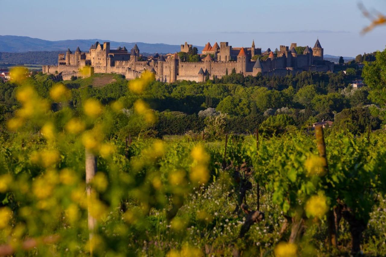 Tout Confort ! Climatisation, Centre-Ville, Parking, Terrasse, Wifi, Netflix Carcassonne Exteriör bild